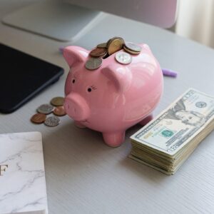 PIB per Capita: O indicador que revela a verdadeira realidade do padrão de vida