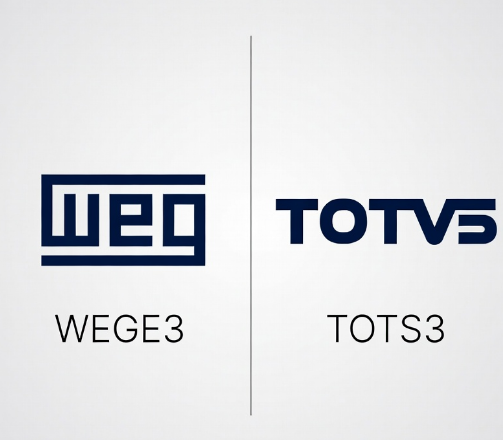 WEGE3 ou TOTS3: qual tem mais potencial?